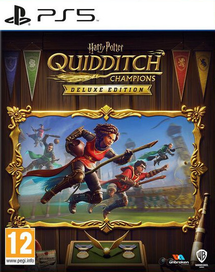 Harry Potter: Champions de Quidditch